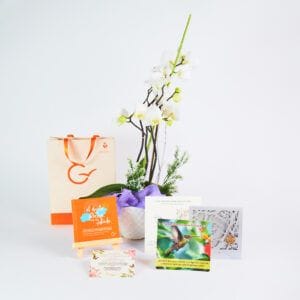Kit Natural Memorializar